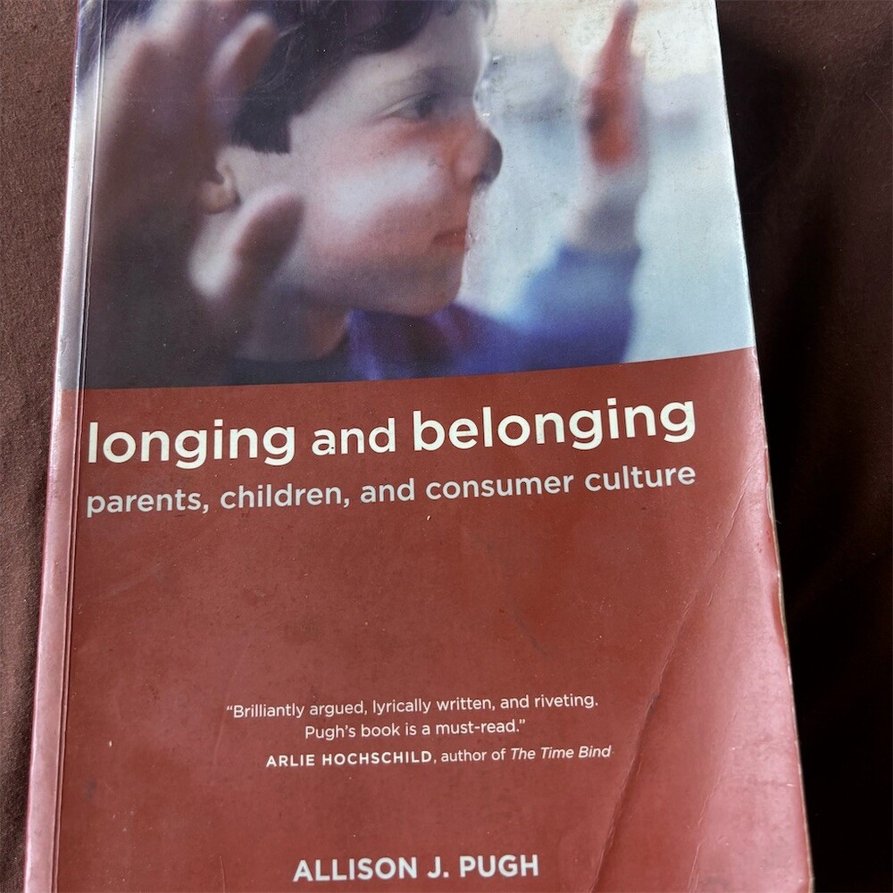 Longing and Belonging Parents Children Consumer Culture Paperback